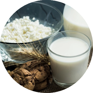 Dairy