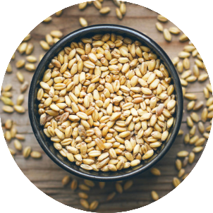Grains